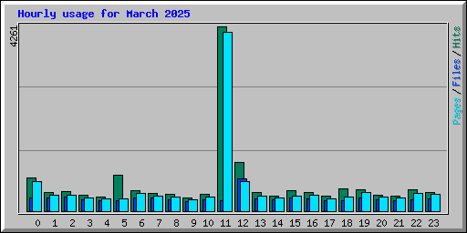 Hourly usage for March 2025